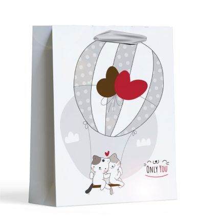 اكياس الهدايا بطابع صور لطيفة ورائعه